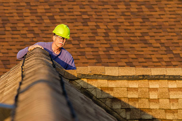 Best New Roof Installation  in Embreeville, TN